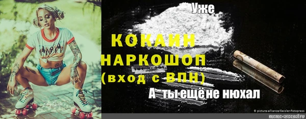 гашик Алексеевка