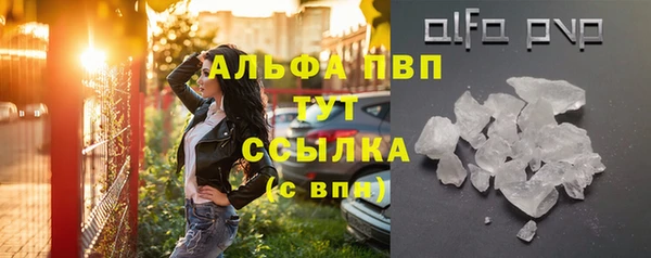 гашик Алексеевка